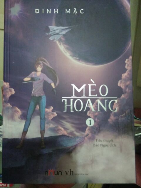 Sách - Mèo hoang - Đinh Mặc