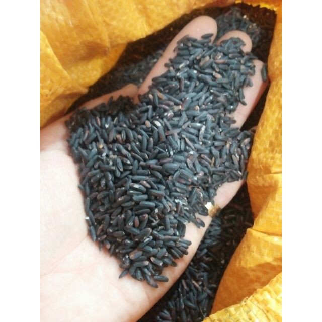 Gạo lứt đen dẻo ĐIỆN BIÊN siêu ngon gói 1kg. | BigBuy360 - bigbuy360.vn