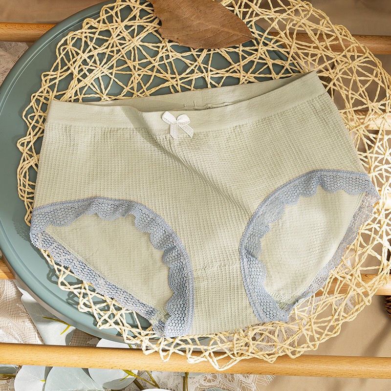 Quần lot nữ cotton xuất hàn, quần chip nữ phom to thông hơi thoáng mát | WebRaoVat - webraovat.net.vn