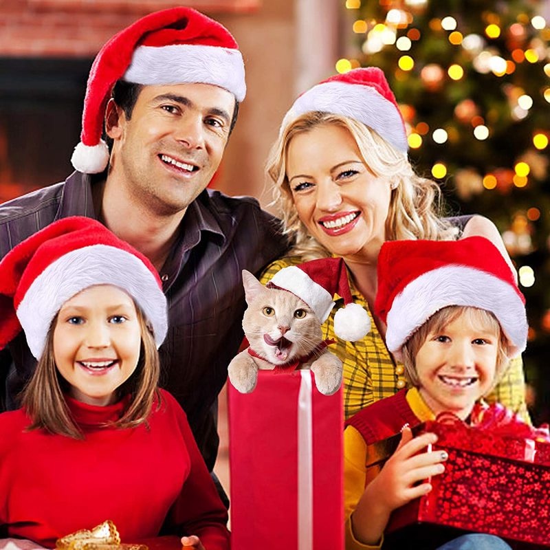 Mũ Ông Già Noel 3D + Tấm Che Mặt + Râu Bằng Lông Nhung Dày Ấm Áp Dành Cho Trẻ Em / Người