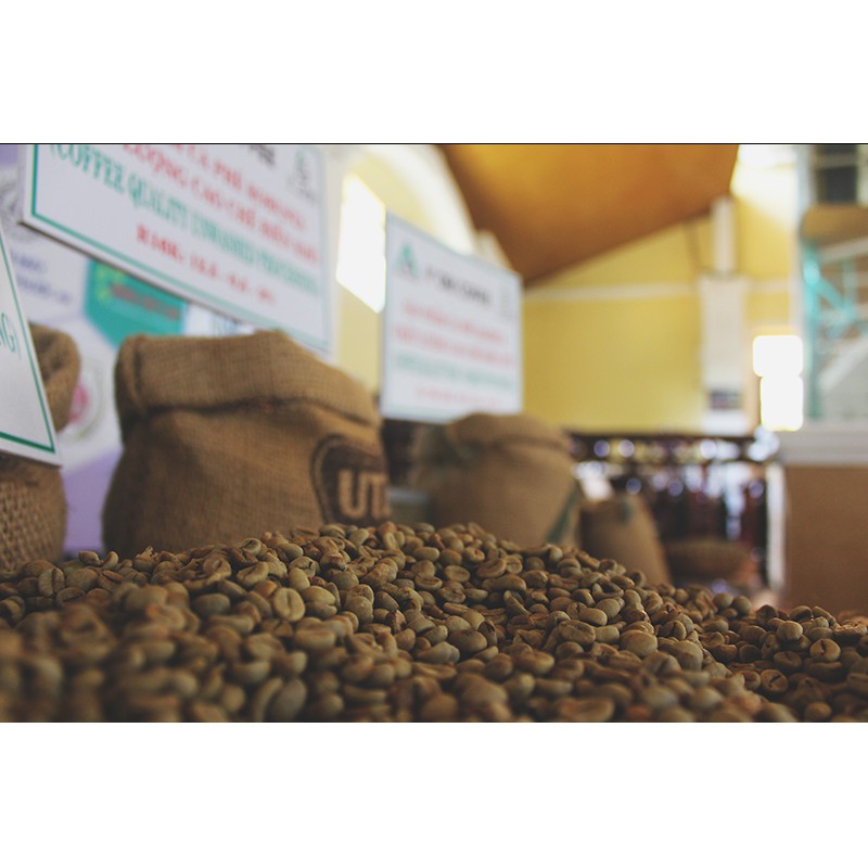 500gr Cà phê hạt rang ROBUSTA nguyên chất chất lượng VietGAP