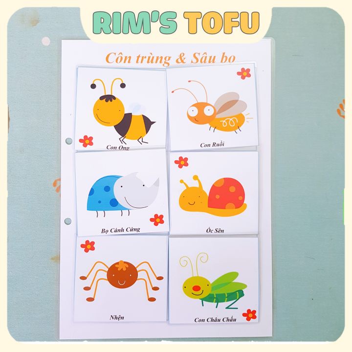 Học liệu bóc dán tổng hợp montessori cho bé làm quen - Đồ chơi giáo dục sớm Montessori cho bé