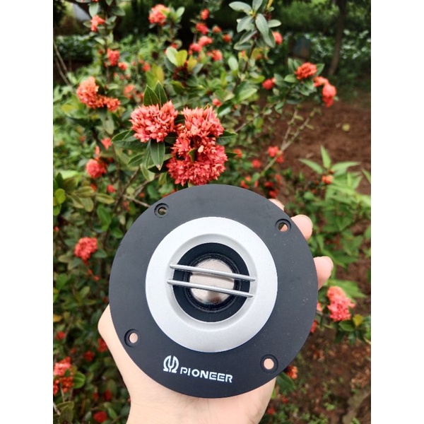Loa trelbe từ kép Pioneer 4 inch 100w