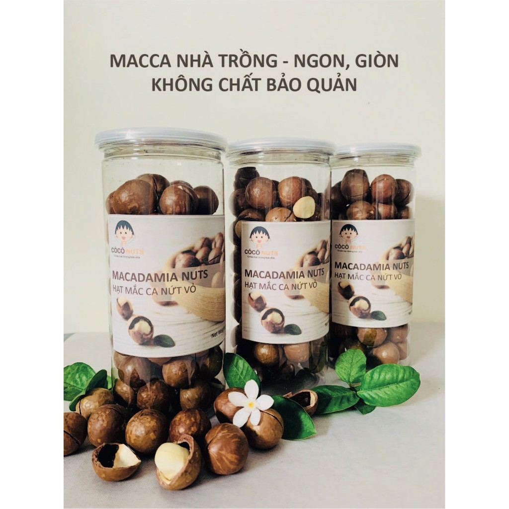 Hạt Macca Đắk Lắk CÔCÔ NUTS Loại 1 Nứt Vỏ Tự Nhiên - 500g kèm đồ khui