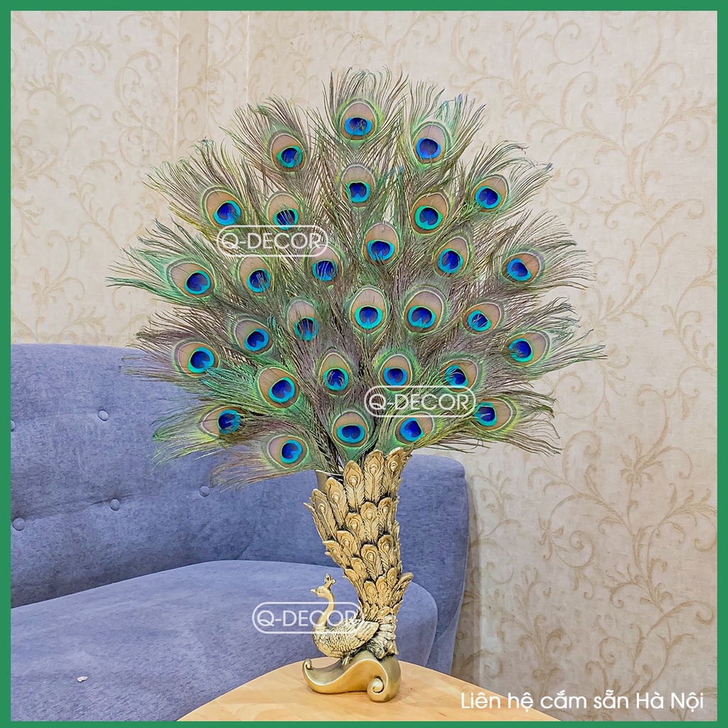 Bình cắm lông công Q Decor hình chim công và 30 cành lông công phong thủy, mắt to 4-6cm
