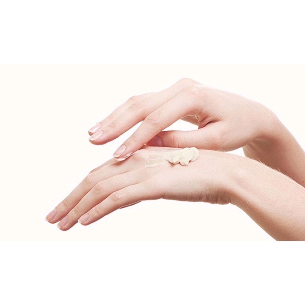 Kem HORSE OIL CREAM 70G Dầu Ngựa Hàn Quốc 70g Làm Trắng / Xóa Nếp Nhăn Cải Thiện Chức Năng Kép Chăm Sóc Da Mặt