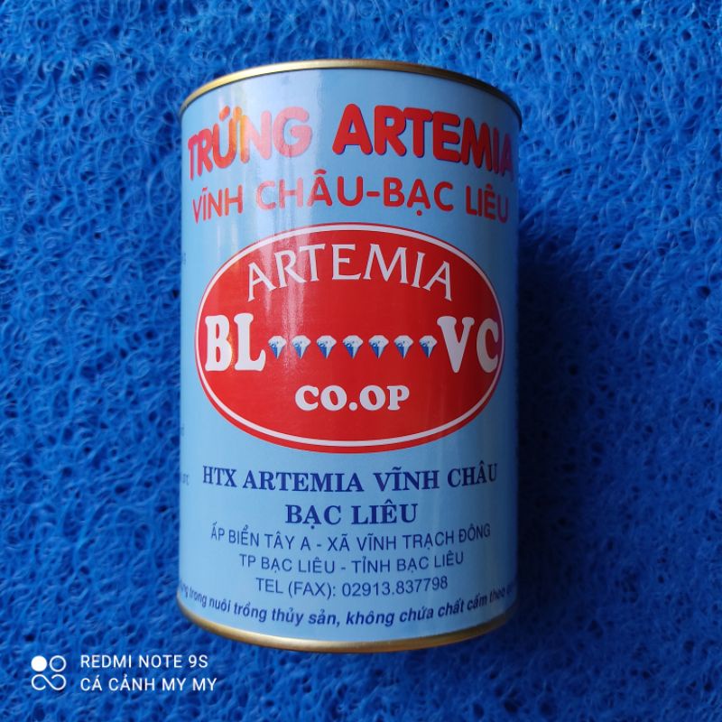 Artemia Vĩnh Châu - Giống Artemia sinh khối