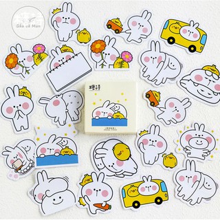 【B1.2】  HỘP 45 STICKER COOL RABIT