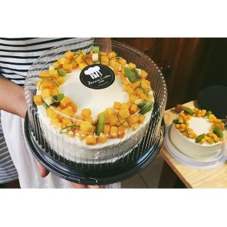 Combo 10 Hộp đựng bánh,thạch A024(đường kính 20 cm)