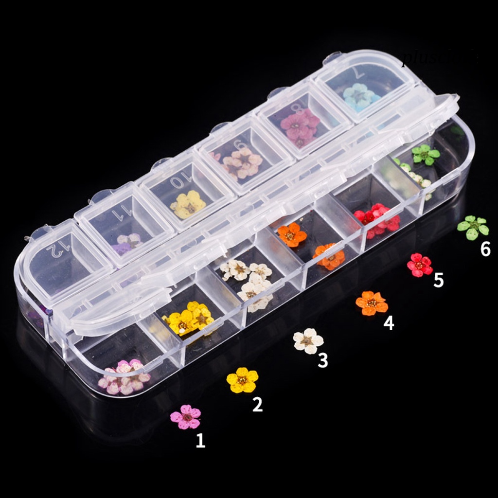 Bộ 5 Hộp Nhựa Trong Suốt 12 Ngăn Đựng Trang Sức / Hạt Trang Trí Móng Tay