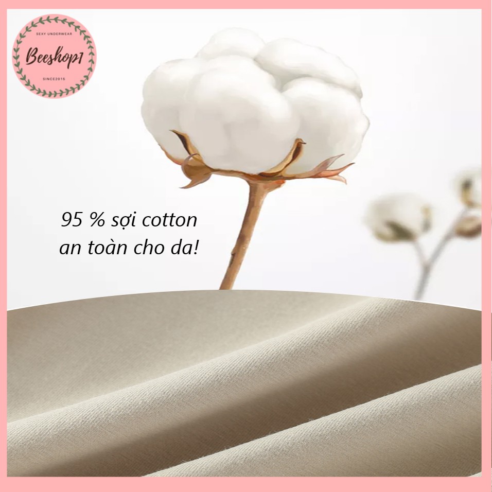 Quần lót nữ, quần lót cotton không viền kháng khuẩn QC79