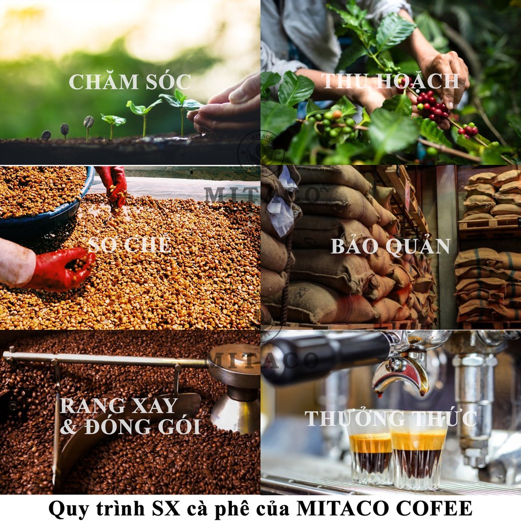 Cà phê nguyên chất Hảo Hạng F2 MITACO COFFEE (Gói 1kg)