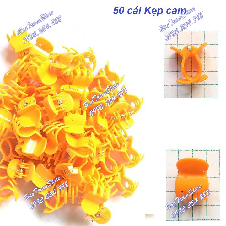 Set 50 cái kẹp bướm  to 2cm màu cam, chất lượng cao dùng để kẹp cành cây, cành hoa lan.