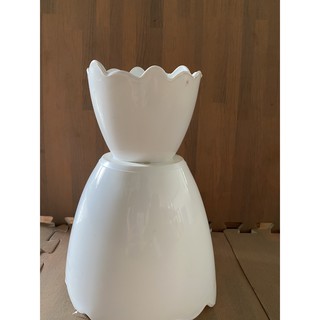 Chậu trứng trồng cây decor