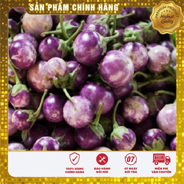 Hạt Giống Cà Pháo Tím