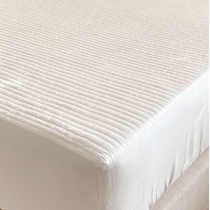 Ga Trải Giường Trần Bông Bo Chun Hàn Quốc Hàng Cao Cấp Baby Dreams | BigBuy360 - bigbuy360.vn