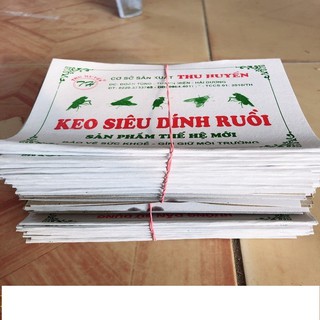 Miếng Keo Dính Ruồi 10 Miếng