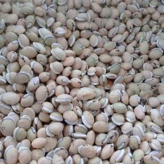 [FREESHIP 99K TOÀN QUỐC]Đậu ván sạch ngon 1kg