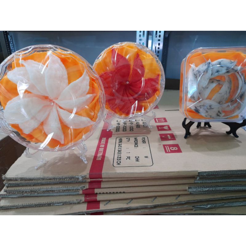 TỔ YẾN MÔ HÌNH DÙNG ĐỂ TRƯNG BÀY