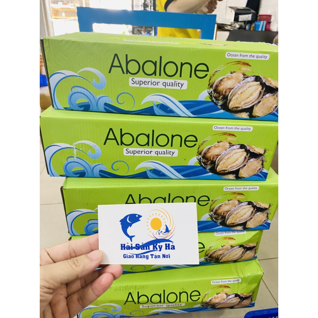 Giá sỉ -  Bào Ngư Abalone size 20con/1Kg