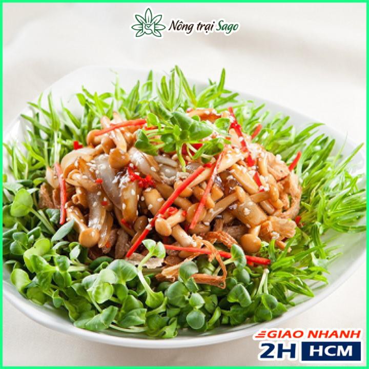 Hạt giống Rau Mầm Củ Cải Trắng Dễ Trồng, Nhanh Thu Hoạch (gói 50 gr) - Nông Trại Sago