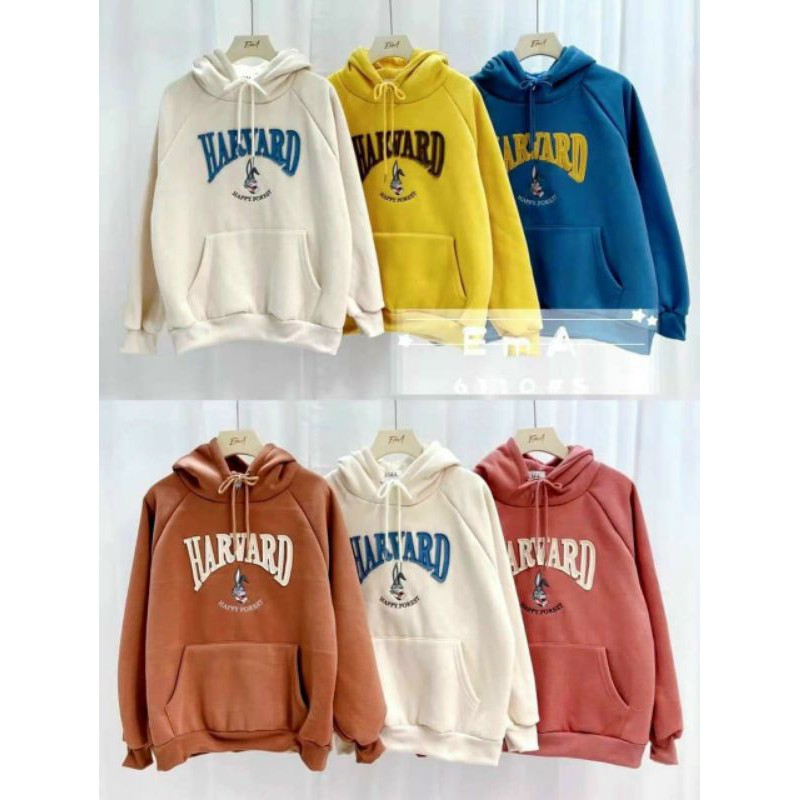 Hoodie nỉ bông mũ