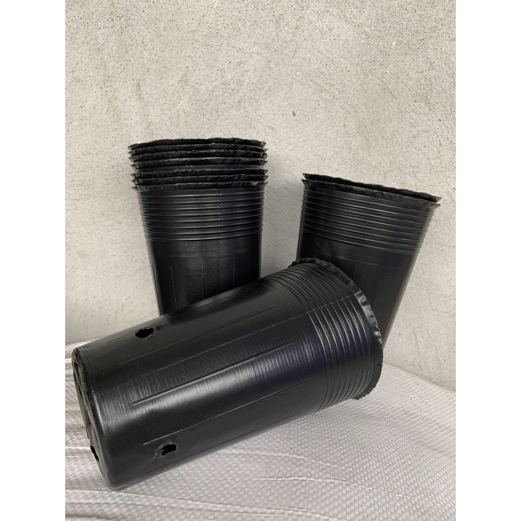 BẦU ƯƠM CÂY GIỐNG MÃ C15 (VIÊN NÉN XƠ DỪA, BẠT PHỦ ĐẤT CHỐNG CỎ, KEO LIỀN SẸO CÂY...)