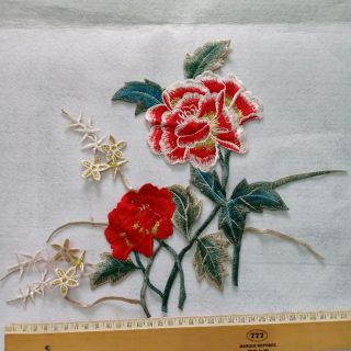 Khóm hoa hồng
