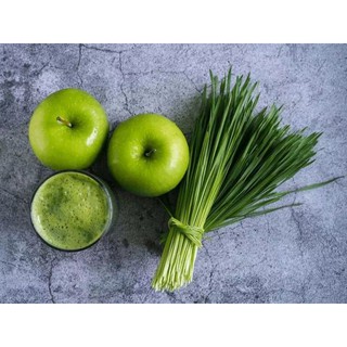 Hạt giống cỏ lúa mì hữu cơ Italy (1kg)