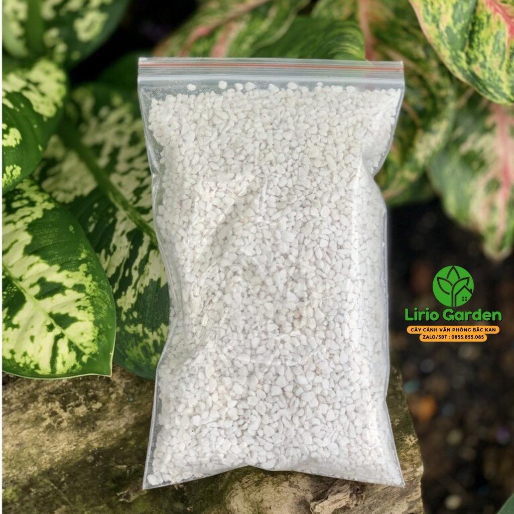 500g đá perlite , đá trân châu trồng cây