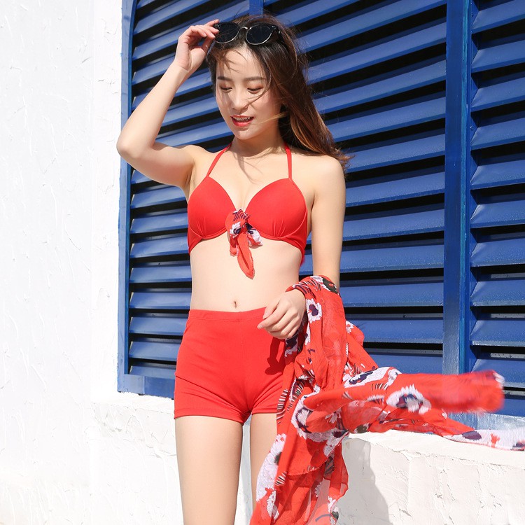 Bộ bơi đi tắm biển nữ Bikini 2 mảnh (set 3 đồ áo bra, quần lót và váy) 2920 | WebRaoVat - webraovat.net.vn