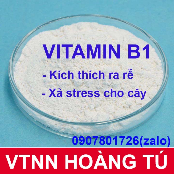 Gói 100gram - Vitamin B1  nguyên chất