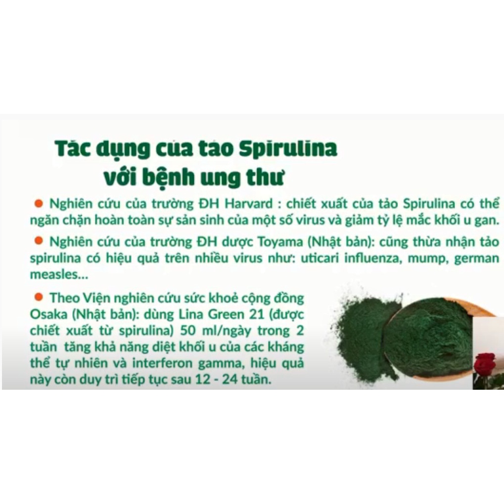 Tảo xoắn Golden Spirulina -tảo cửa sổ vàng cho bé