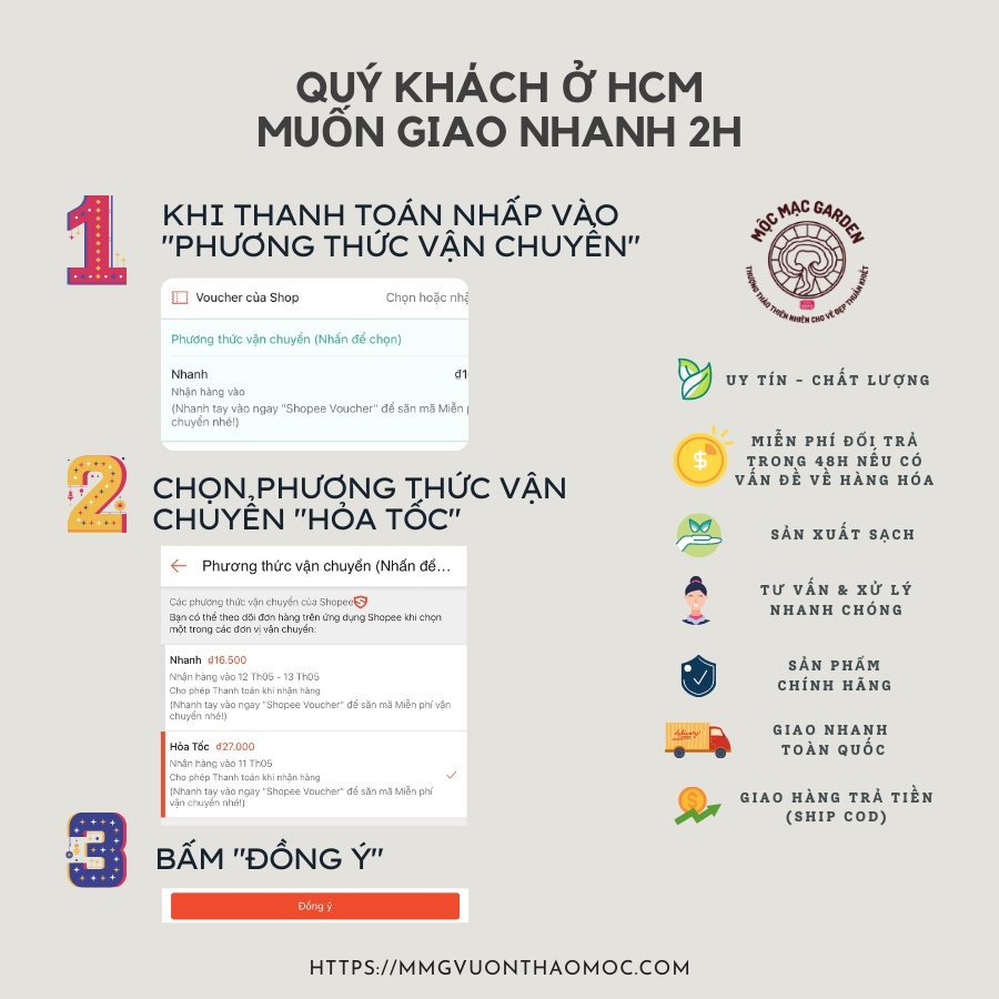 50gr Bột Trà Xanh Nguyên Chất MMG Giảm cân - Làm đẹp - Tẩy tế bào chết