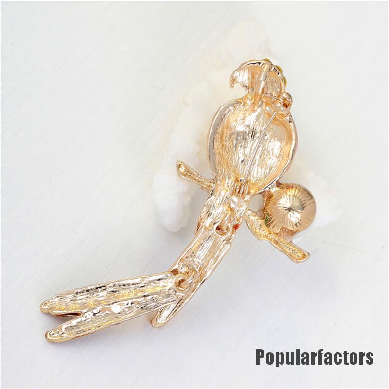 Ghim cài áo phối hình chú vẹt đính đá thời trang