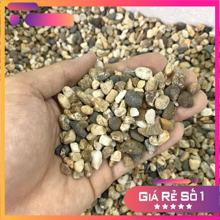 500gr Sỏi 3 Màu Lớn Trải Nền Bể Cá - Sỏi Trang Trí Bể Cá Cảnh