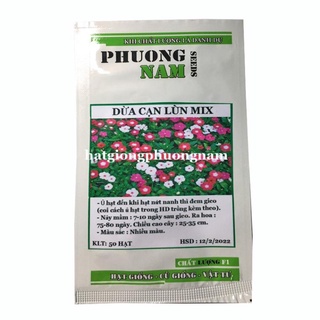 50H - HẠT GIỐNG HOA DỪA CẠN ĐỨNG