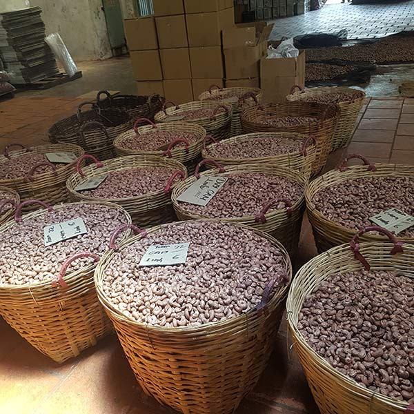 Hạt điều rang muối Bình Phước Loại A 500gr