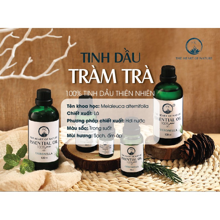 Tinh dầu Tràm Trà cao cấp PK 100ml - Tinh dầu Nguyên chất xông phòng