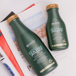 DẦU GỘI XẢ BEAVER TRÀ XANH TEA TREE CHỐNG RỤNG, GIẢM GẦU 350ML 730ML