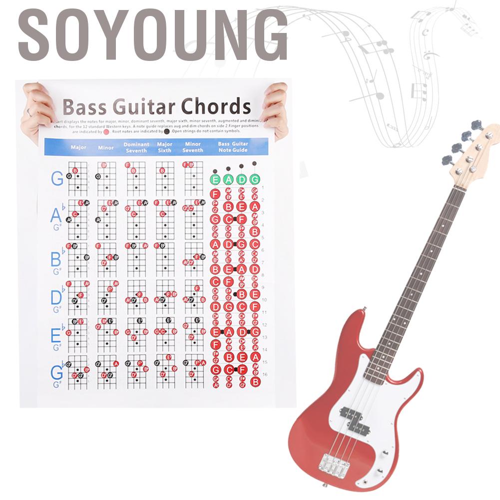 Bảng Hợp Âm Đàn Guitar Bass 4 Dây Chuyên Dụng Cho Người Mới Bắt Đầu