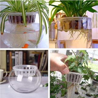 Rọ trồng cây thuỷ canh 14cm