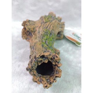 Trang Trí Bể Cá Cảnh Hình Gốc Cây