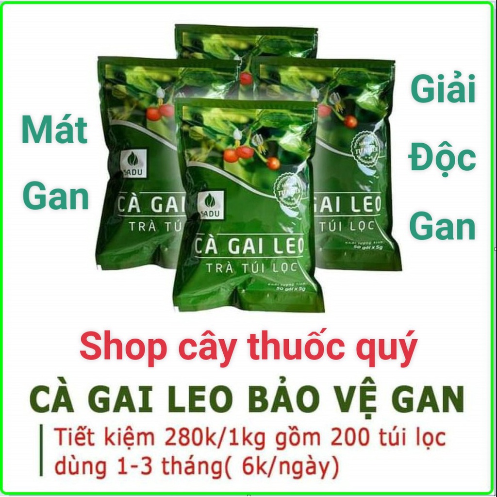 Trà túi lọc cà gai leo Sadu mát gan, thải độc gan (1kg gồm 4 bịch 250g)