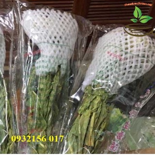 🍀Hoa thiên sơn tuyết liên 25gr - Víp tặng kèm đồ ngâm