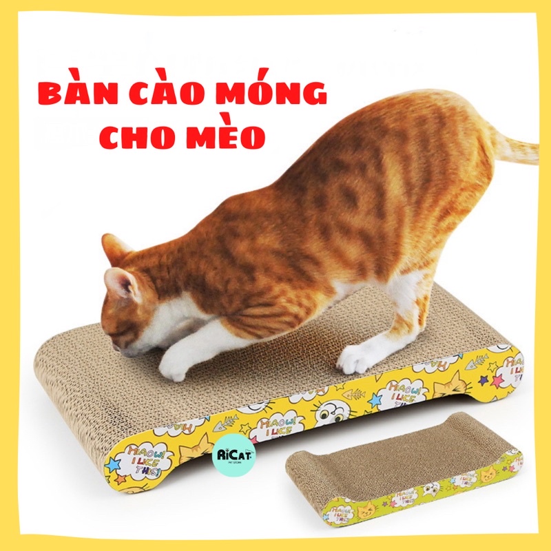 Bàn Cào Móng Cho Mèo Giảm Stress Nhiều Hình Dáng