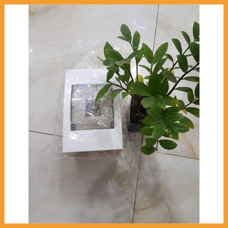 [FREESHIP]Tủ điện Panasonic NDP104P