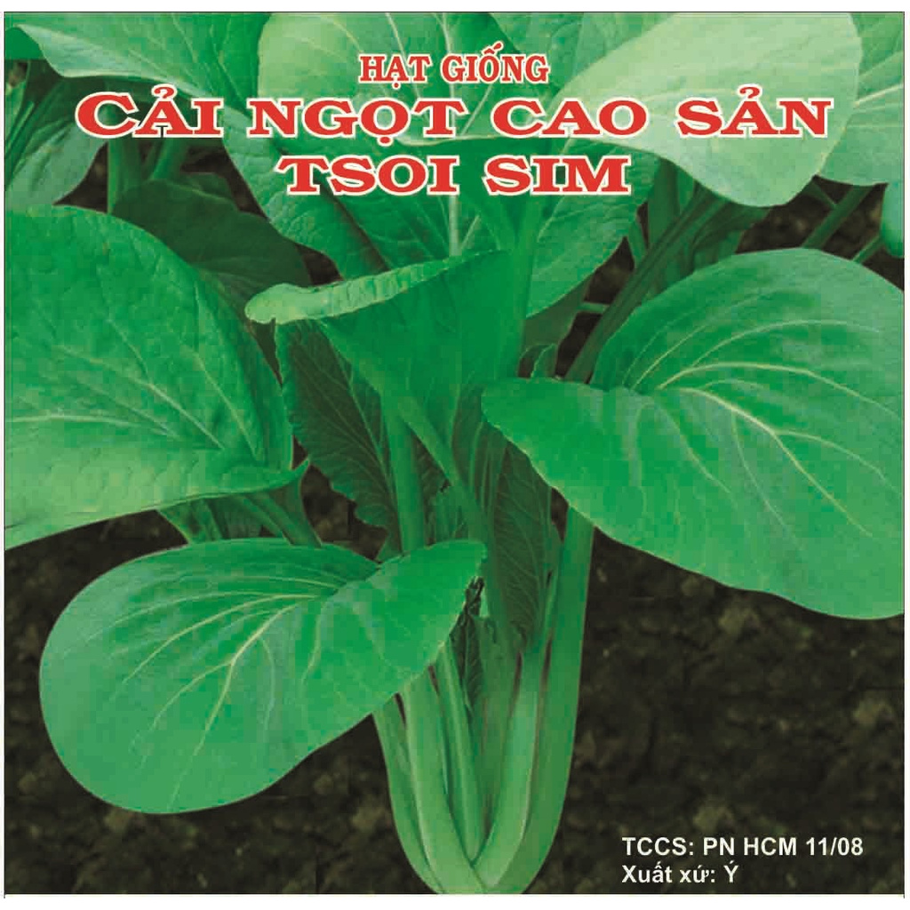 Hạt giống cải ngọt cao sản Phú Nông hạt giống chắc khỏe, tỉ lệ nẩy mầm 98%