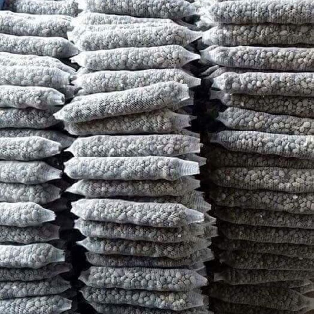 Phân dê bón lan rừng