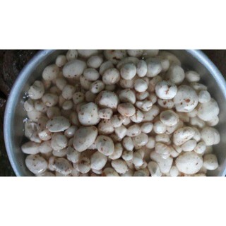 bột cây khoai nưa (bột nưa)